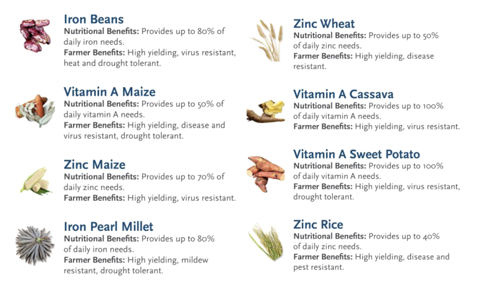 Pasted image 20240411164908.png|700