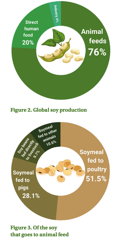 Pasted image 20240911084453.png